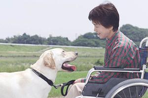 仙台市でマウスピース矯正を行っています