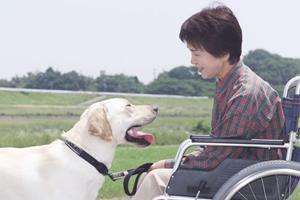 堺市でインプラント治療を扱う歯科医院