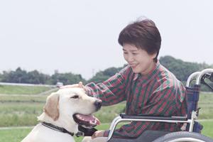 有田郡で審美歯科を受けたい人に最適です