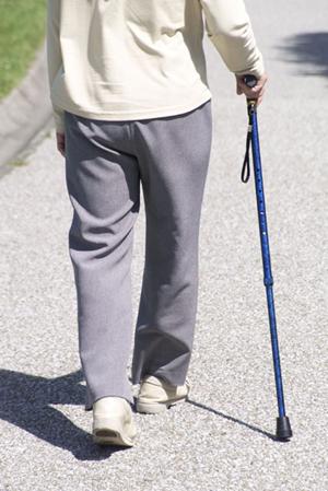 「西新宿で家族全員が通いやすい歯医者を見つけるための完全ガイド」