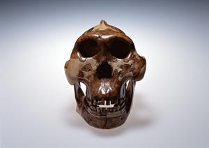 2026年最新！世田谷区の信頼できる泌尿器科ガイドと選び方